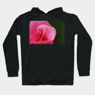 Pink Rose Close-up Hoodie